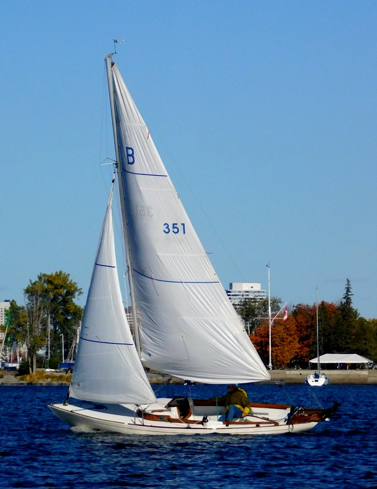 Bluenose One-Design sailboat Moon Beam 3589