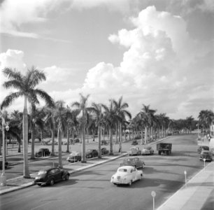Boulevard in Miami, Bestanddeelnr 191-0775