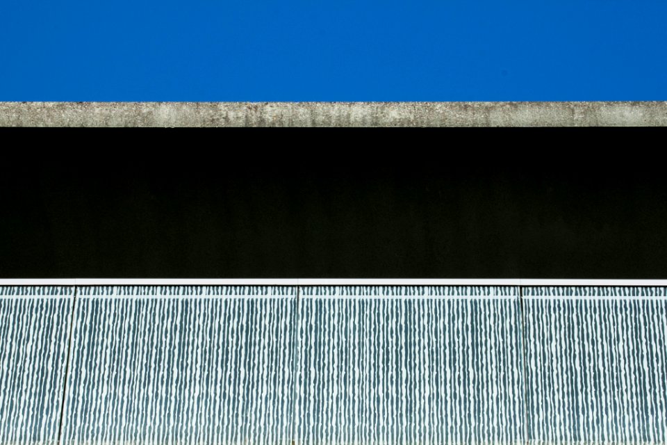 Blue Sky (63293515)