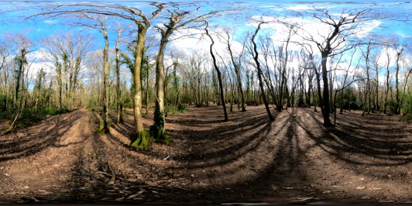 Blue walk, Highwoods, Bexhill (360 panorama) photo