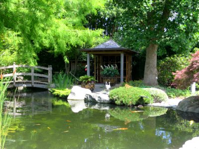 Blumenpark Dehner 21