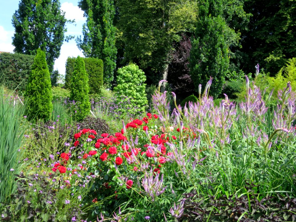 Blumenpark Dehner 20