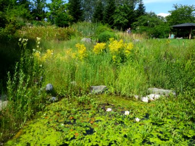 Blumenpark Dehner 7