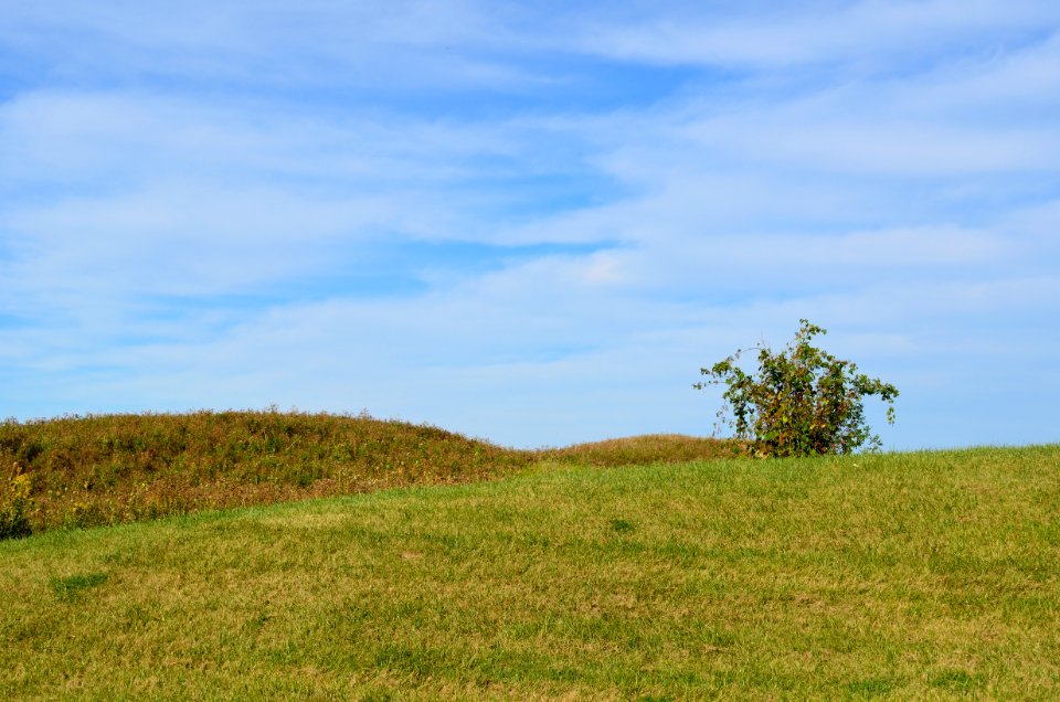 BlueSkyWhiteCloudsGrassland