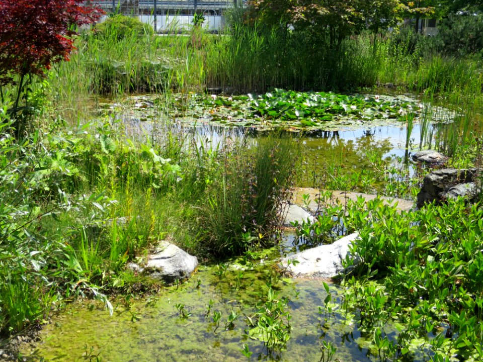 Blumenpark Dehner 4