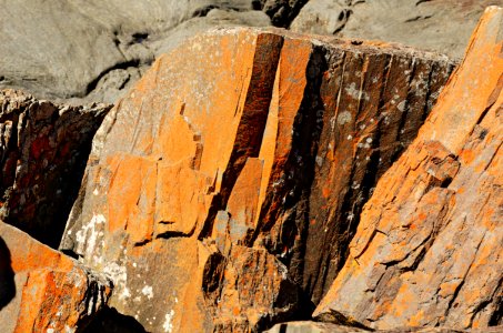 Bluff-rocks-Devonport-20070310-020