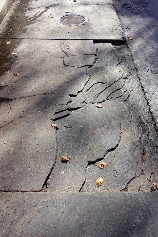 Bluestone sidewalk - Beacon Hill - Boston, MA - DSC02190