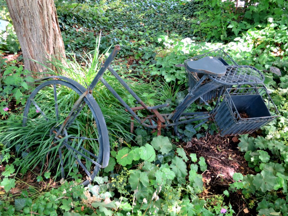 Blumenpark Dehner 16