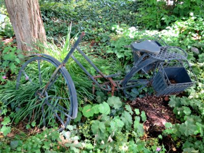 Blumenpark Dehner 16