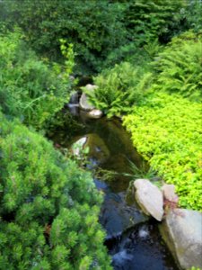 Blumenpark Dehner 11