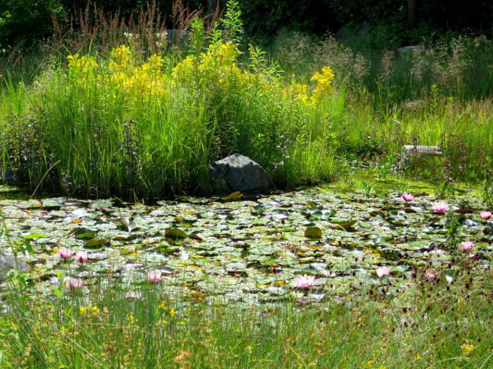 Blumenpark Dehner 8