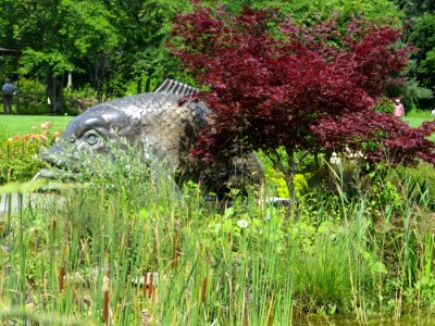 Blumenpark Dehner 5