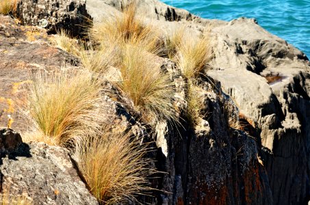 Bluff-rocks-Devonport-20070310-019