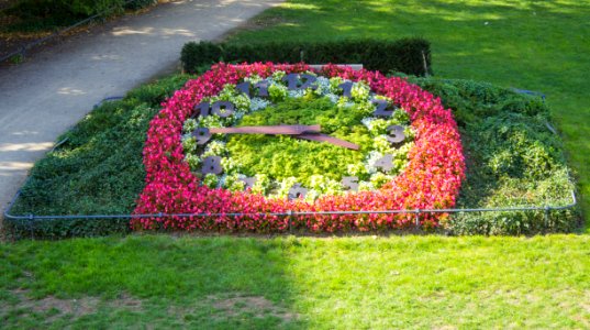 Blumenuhr Demianiplatz Görlitz