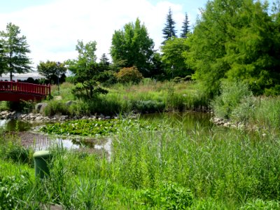 Blumenpark Dehner 1