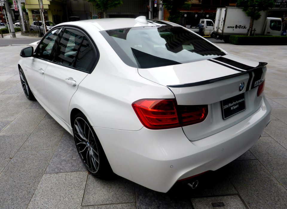 BMW 320d BluePerfomance M Sport (F30) rear