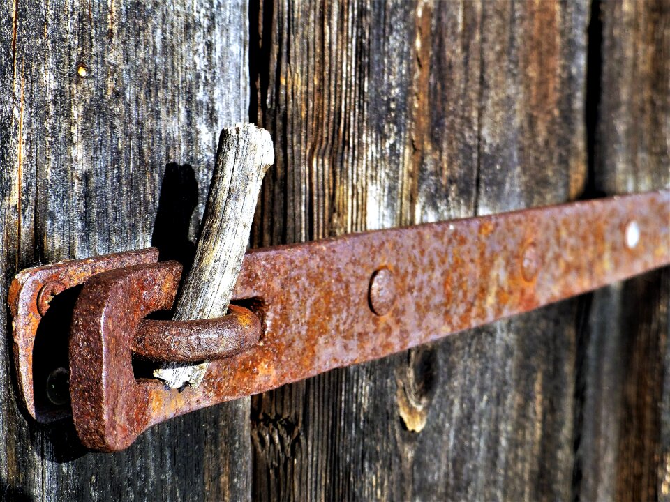 Input wood doors photo