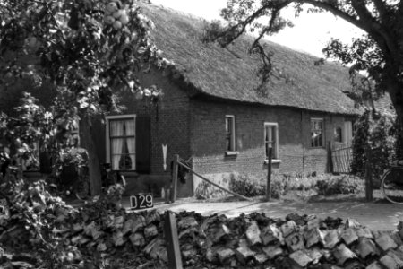 Boerderij bij Dreumel (ruilverkaveling Land van Maas en Waal), Bestanddeelnr 170-2240