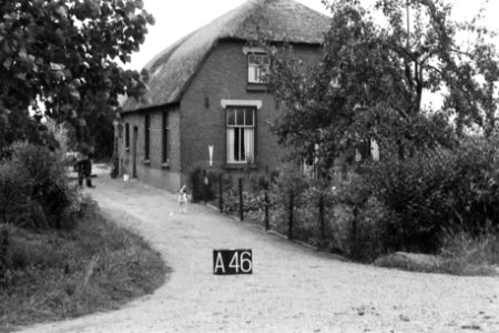 Boerderij bij Alphen (ruilverkaveling Land van Maas en Waal), Bestanddeelnr 170-2268