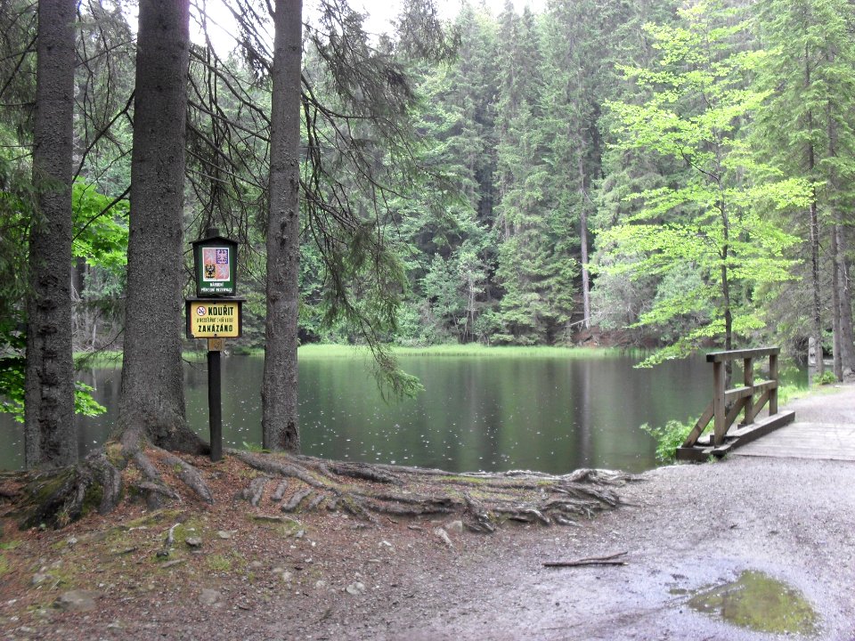Boubín - Jezerní plocha