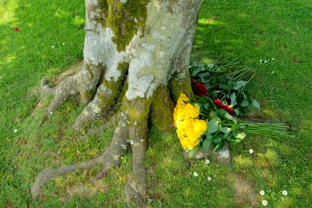 Bouquets - Sheffield Park and Garden - East Sussex, England - DSC05530