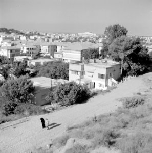Bnei Brak Gezicht over de stad vanaf een heuvel, Bestanddeelnr 255-3819