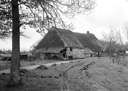 Boerderij Bruntinge te Holten, Bestanddeelnr 163-0135
