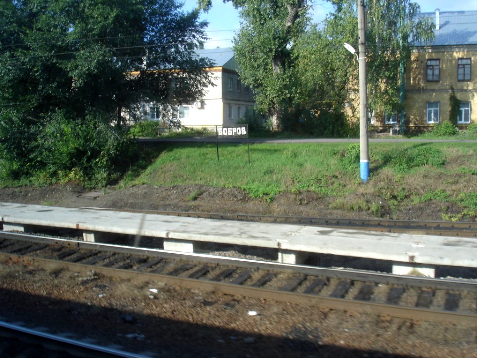 Bobrov Station