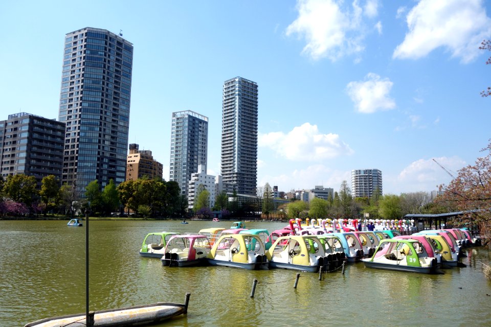 Boats on Shinobazu Pond - Ueno Park, Tokyo, Japan - DSC02037