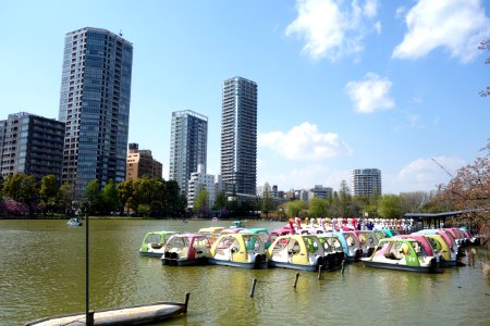 Boats on Shinobazu Pond - Ueno Park, Tokyo, Japan - DSC02037