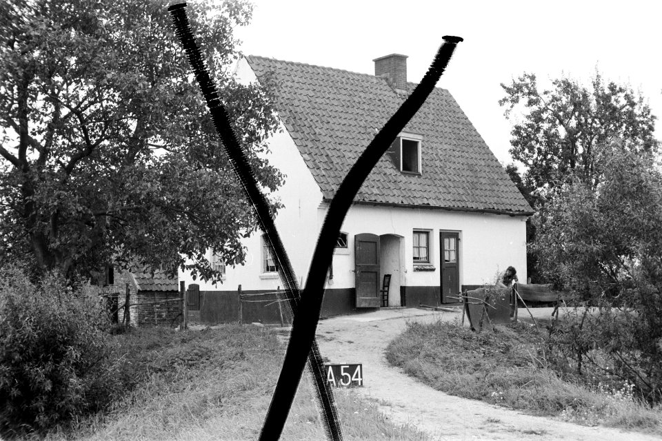 Boerderij bij Alphen (ruilverkaveling Land van Maas en Waal), Bestanddeelnr 170-2258