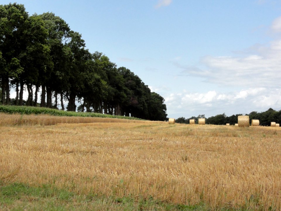 Boudeville (Seine-Mar.) paysage