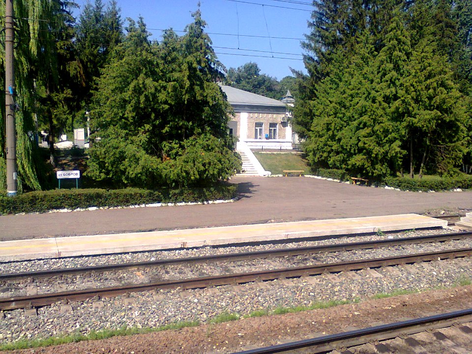 Bobrov Station-2015