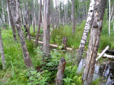 Bochka headwaters photo