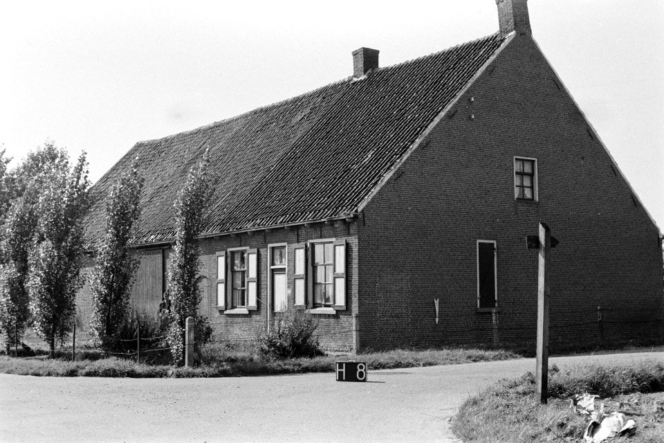 Boerderij bij Halsteren (ruilverkaveling Halsteren), Bestanddeelnr 170-2461