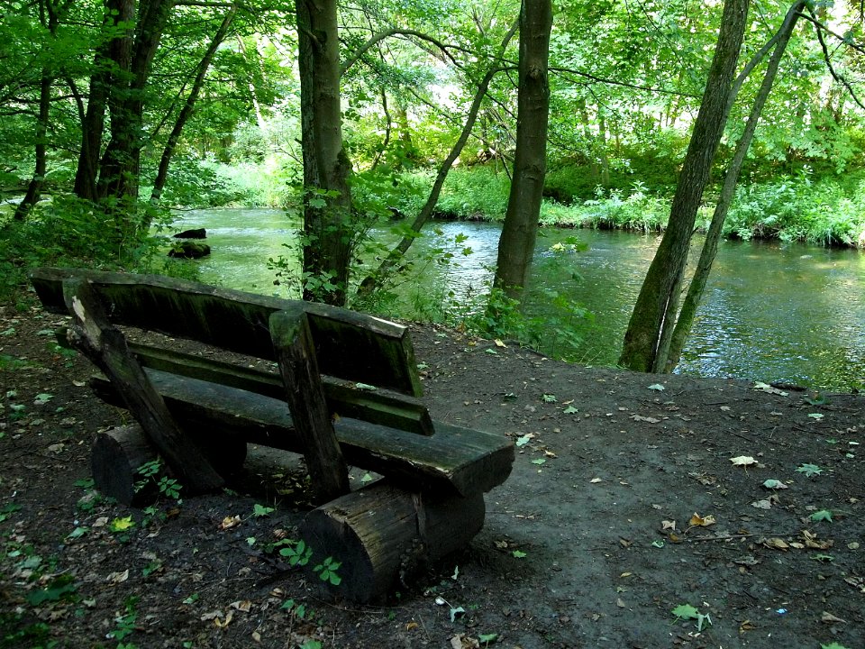 Bode Altenbrak (6)