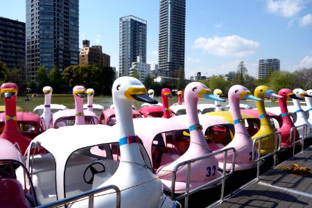 Boats on Shinobazu Pond - Ueno Park, Tokyo, Japan - DSC02035