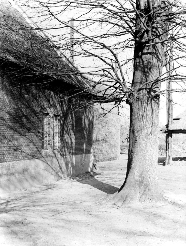 Boerderij bij De Zilk, Bestanddeelnr 189-0214