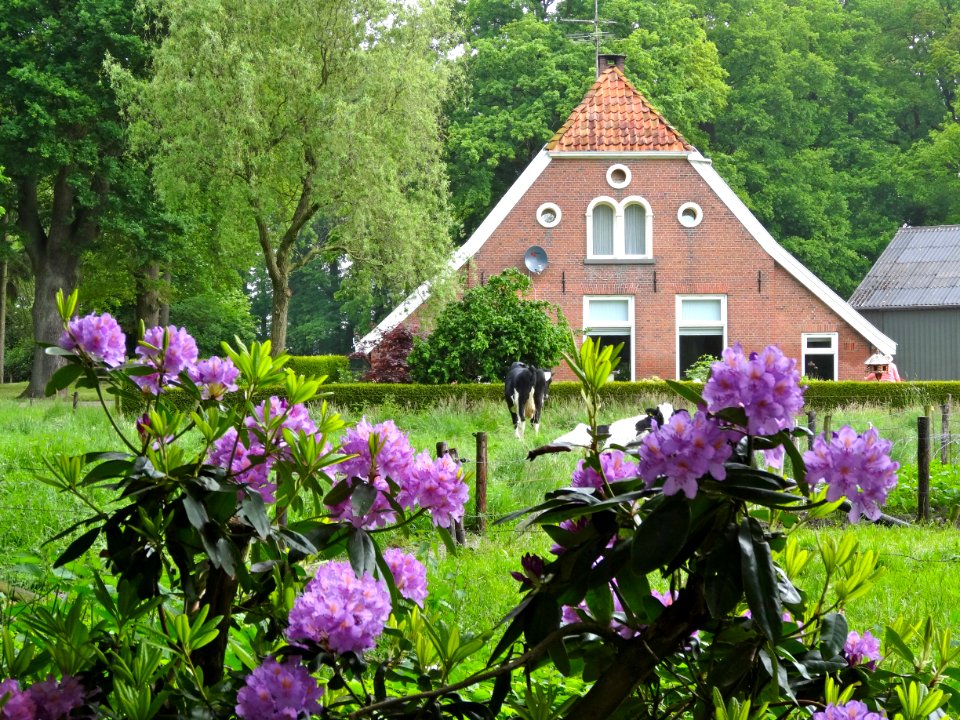 Boerderij Boerskotten