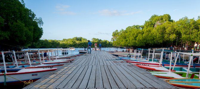 Boats transport in the Laguna de la Restinga