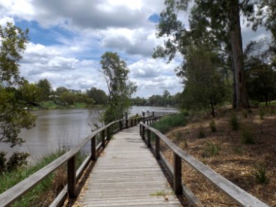 Boardwalk along Brisbane River at Sherwood Arboretum