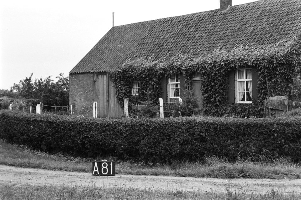 Boerderij bij Alphen (ruilverkaveling Land van Maas en Waal), Bestanddeelnr 170-2279