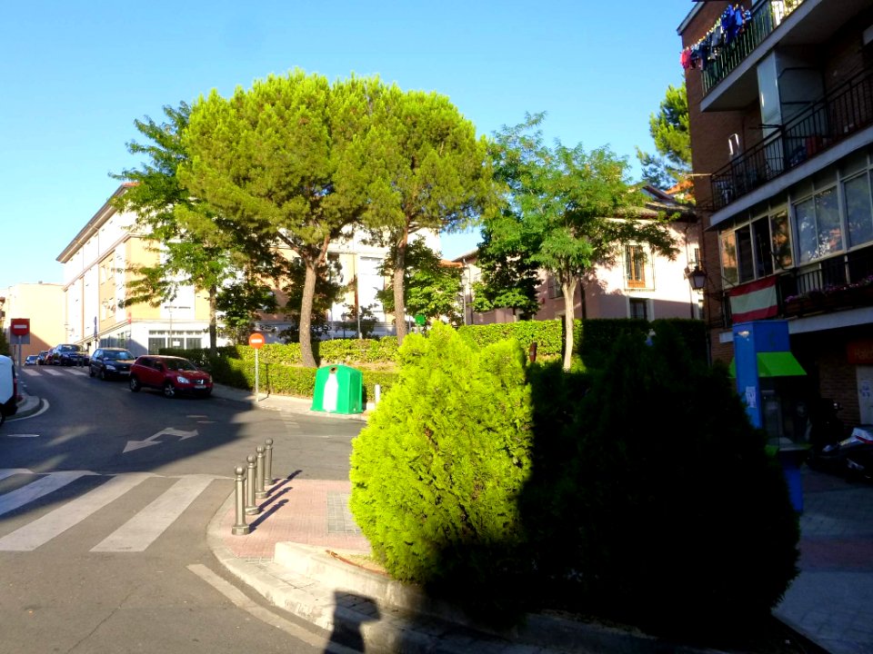 Boadilla del Monte 22