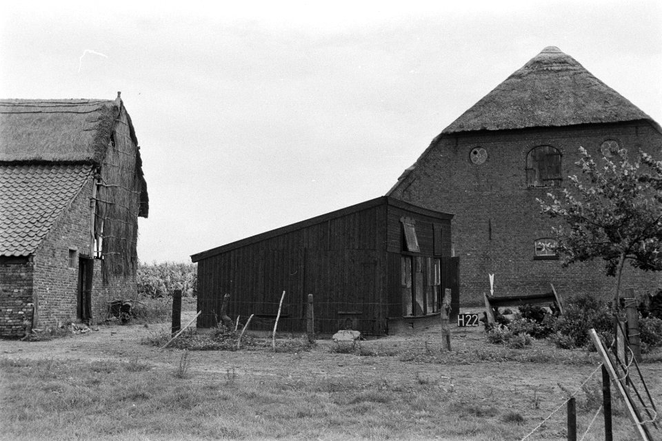 Boerderij bij Horssen (ruilverkaveling Land van Maas en Waal), Bestanddeelnr 170-2310