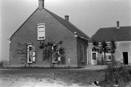 Boerderij bij Halsteren (ruilverkaveling Halsteren), Bestanddeelnr 170-2453