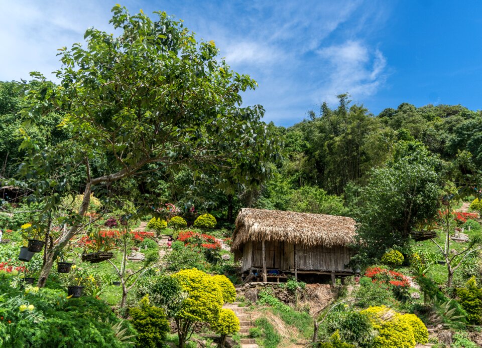 Architecture nature summer