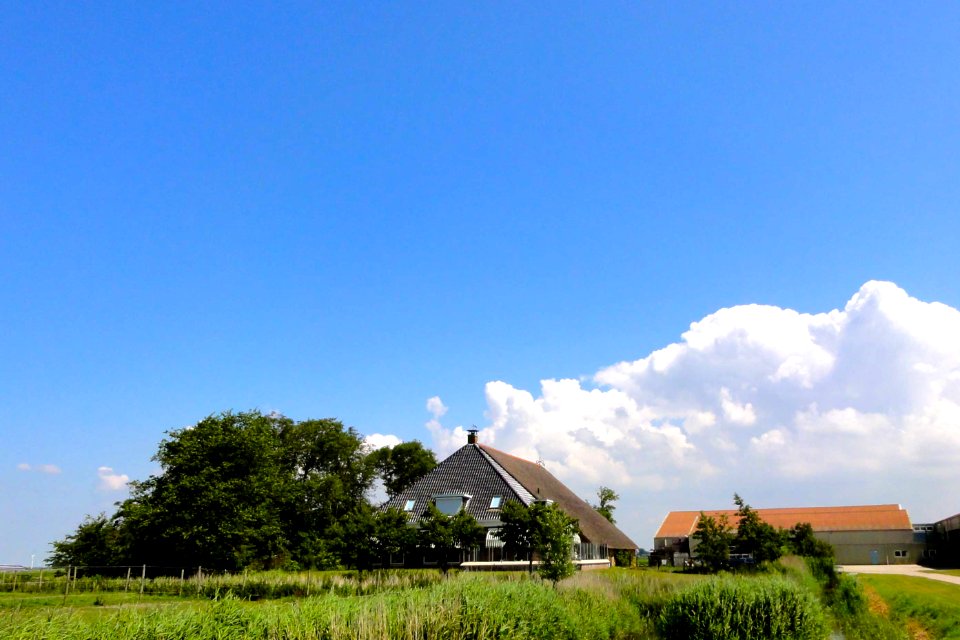 Boerderij De Blokken Pingjum