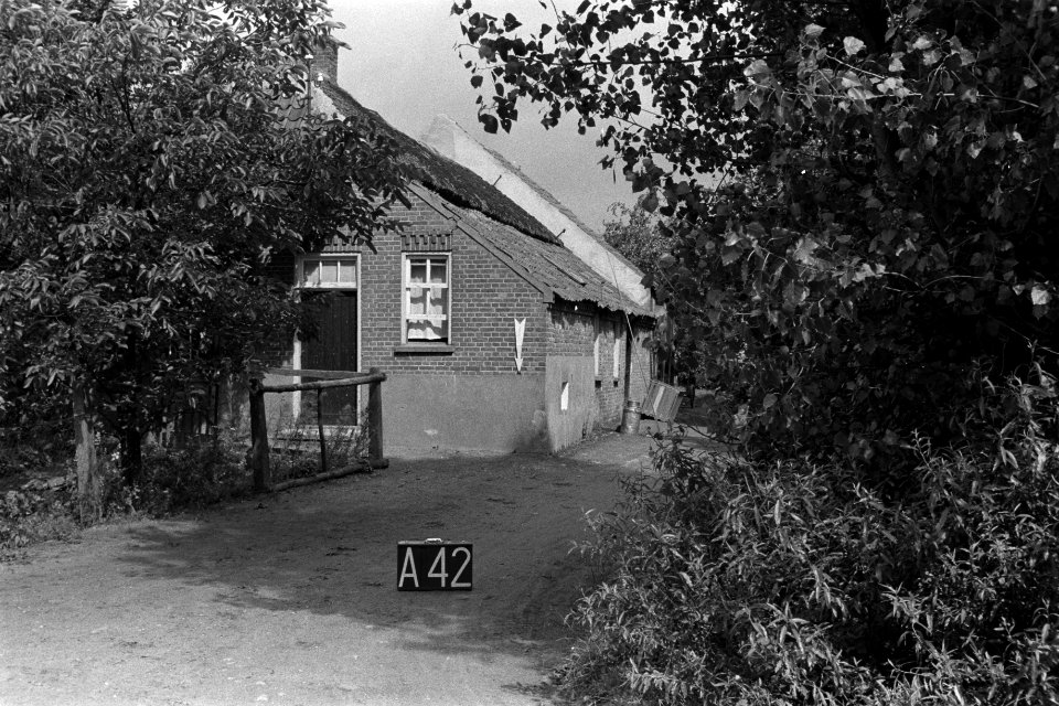 Boerderij bij Alphen (ruilverkaveling Land van Maas en Waal), Bestanddeelnr 170-2301
