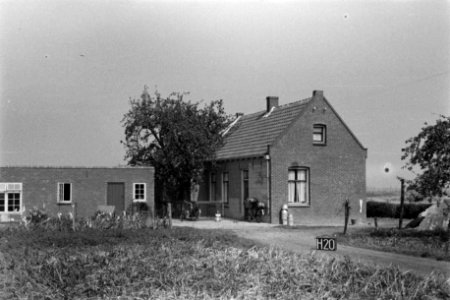 Boerderij bij Halsteren (ruilverkaveling Halsteren), Bestanddeelnr 170-2450