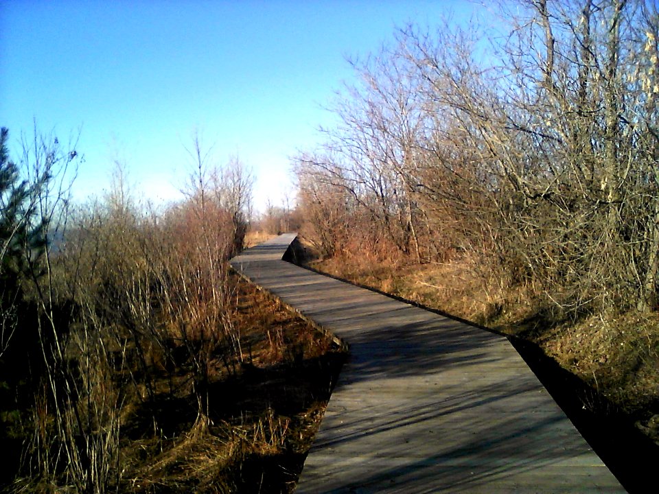 Boardwalk 1